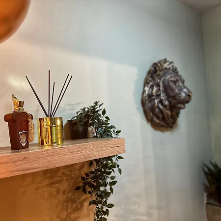 Apartment Dream In Klenovica