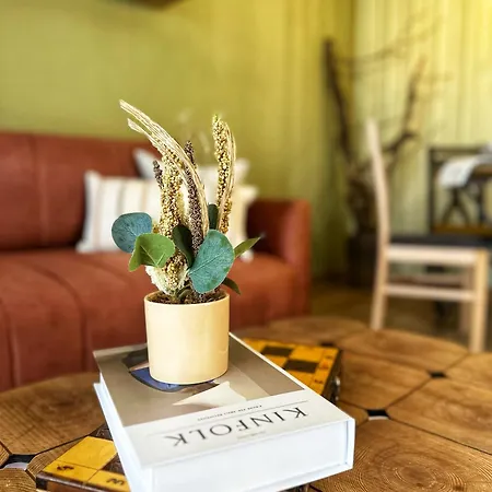 Apartament Dream In *