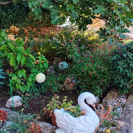 Dream In Apartment Klenovica