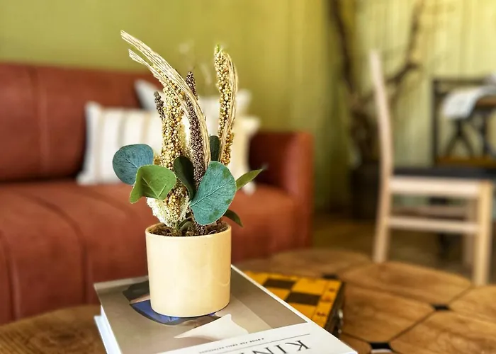 Appartement Dream In *