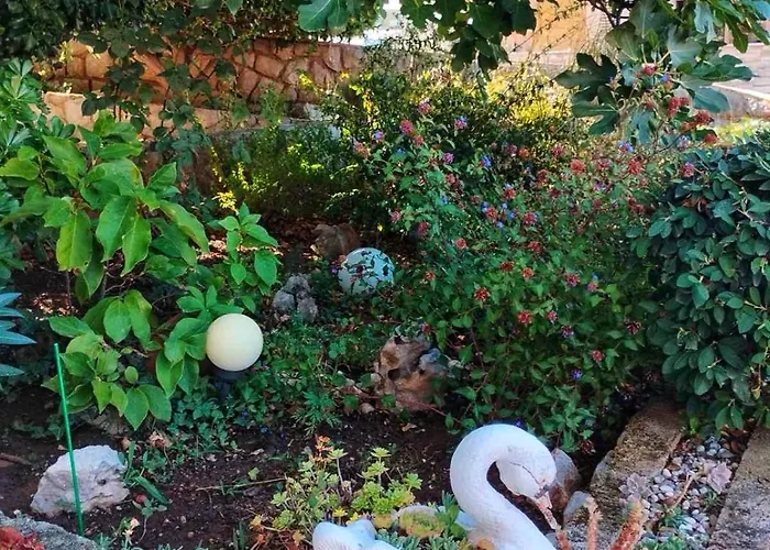 Dream In Appartement Klenovica